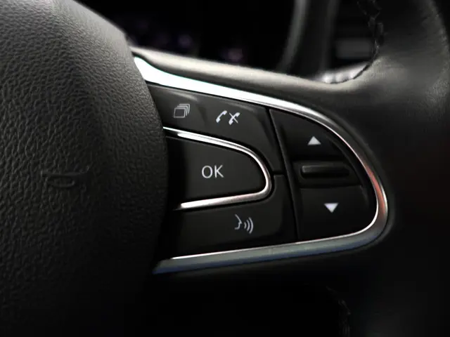 Renault Mégane 1.3 TCe 165pk Bose Aut- 2019 Benzine 18