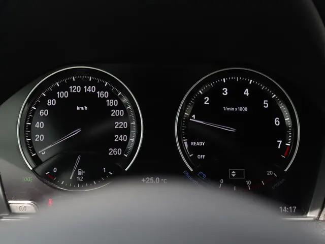 BMW 1 Serie 3-deurs 116i 2018 Benzine 19