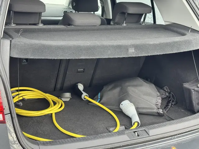 Volkswagen e-Golf E-DITION 2020 Elektrisch 22