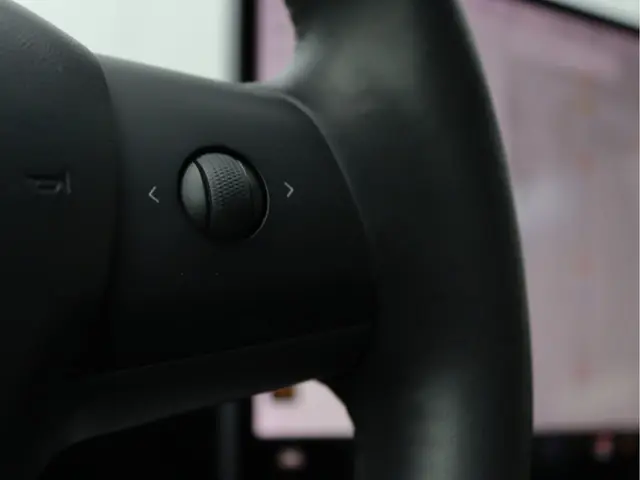 Tesla Model 3 Standard RWD Plus 60 kWh 2019 Elektrisch 33