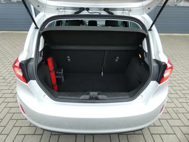 Ford Fiesta HELAAS VERKOCHT!!! 2017 Benzine 12