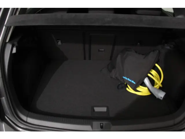 Volkswagen e-Golf Edition 2019 Elektrisch 19