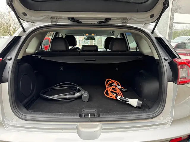Kia e-Niro ExecutiveLine 64 kWh 2019 Elektrisch 17