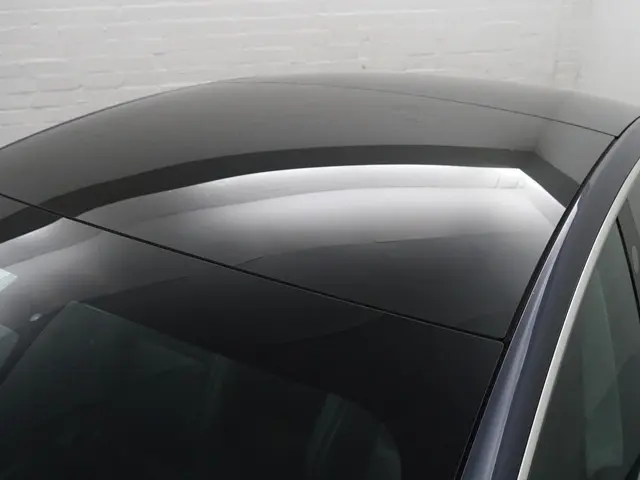 Tesla Model 3 Long Range AWD 75 kWh- 2019 Elektrisch 3