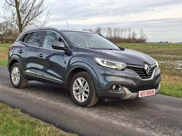 Renault Kadjar 1.2 TCe Zen, 2e eigenaar❗ 2015 Benzine 6
