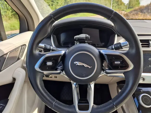 Jaguar I-PACE EV400 SE 90 kWh 2018 Elektrisch 16