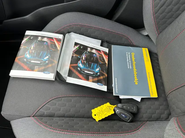 Ford Fiesta RS uitvoering 2017 Benzine 14