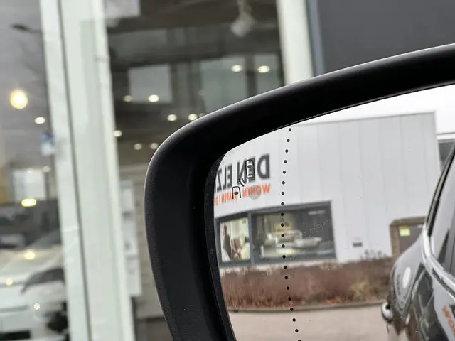 Renault Kadjar TCe 165 Bose 2017 Benzine 11