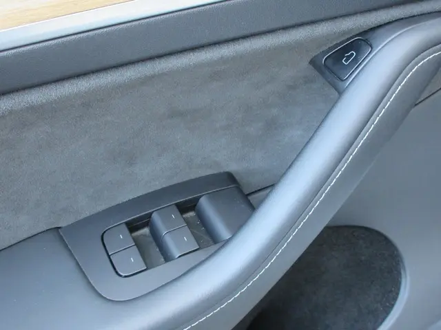 Tesla Model Y Long Range AWD 75 kWh 2022 Elektrisch 15