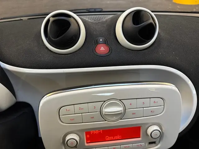 Smart Forfour 1.0 Prime 2015 Benzine 10