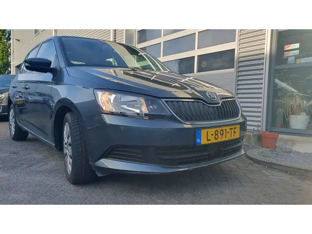 Škoda Fabia 1.2 TSI Monte Carlo 2017 Benzine 12