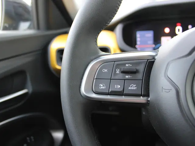 Jeep Avenger 1st Edition 54 kWh 2024 Elektrisch 22