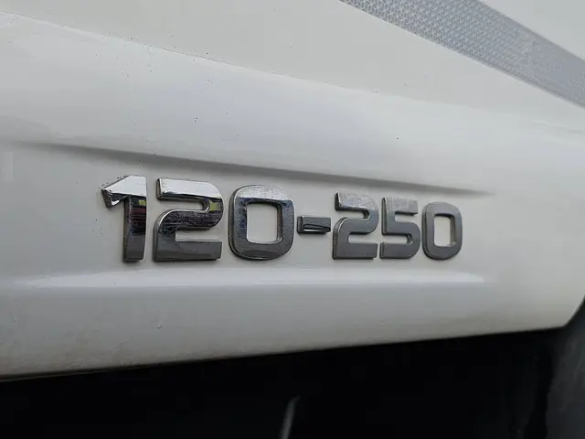 Iveco Eurocargo 120E25 2022 Diesel 11