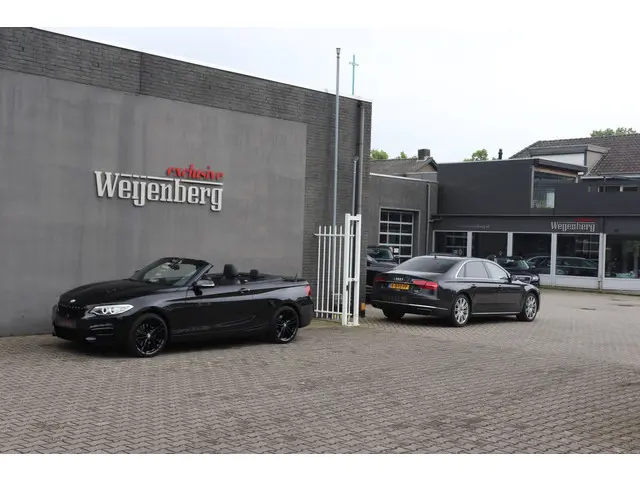 BMW 2 Serie Cabrio 220i M Sport 2015 Benzine 23