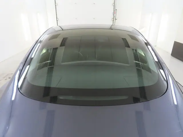 Tesla Model 3 Standard RWD Plus 60 kWh 2020 Elektrisch 17