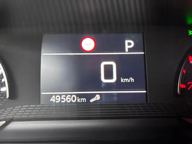 Peugeot 208 1.2 PureTech Active Pack 2021 Benzine 22