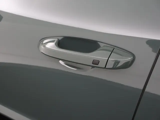 Kia Niro EV Edition Advanced 64.8 kWh 2024 Elektrisch 40