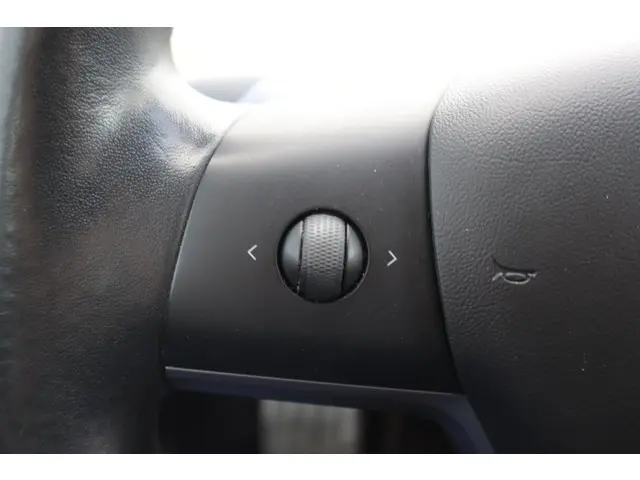 Tesla Model 3 Performance AWD 75 kWh 2019 Elektrisch 22