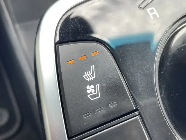 Kia e-Niro ExecutiveLine 64 kWh 2019 Elektrisch 25