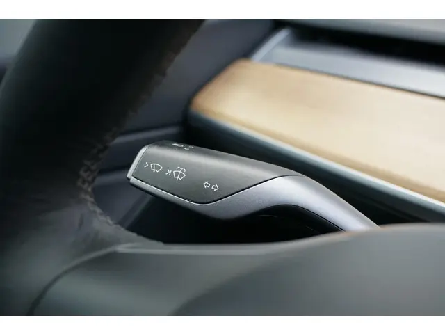 Tesla Model 3 Standard RWD Plus 60 kWh 2020 Elektrisch 21