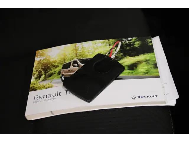 Renault Trafic LEASE 275 EURO PER MAAND 2017 Diesel 14