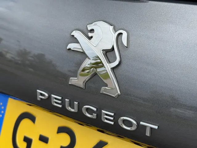 Peugeot 2008 1.2 PureTech Signature 2019 Benzine 31