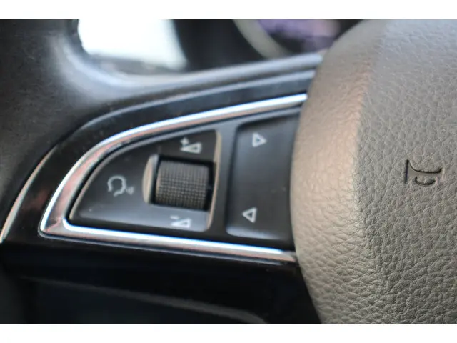 Škoda Fabia 1.0 TSI Monte Carlo 2018 Benzine 17