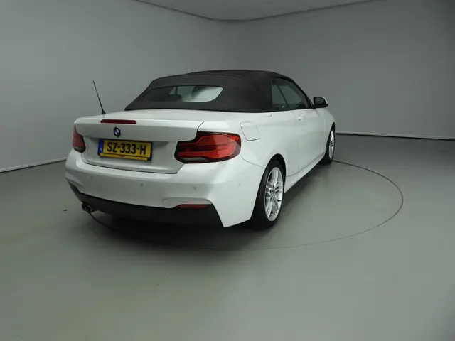 BMW 2 Serie Cabrio 220i 2018 Benzine 21