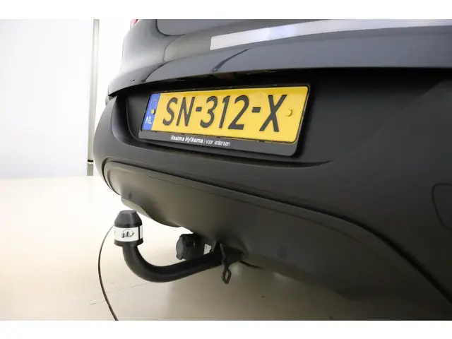 Renault Kadjar 1.2 TCe Limited 2018 Benzine 13