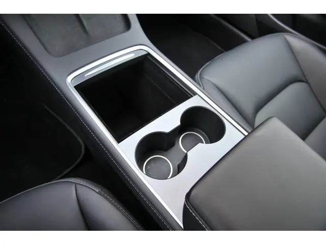 Tesla Model 3 Standard RWD Plus 60 kWh 2022 Elektrisch 35