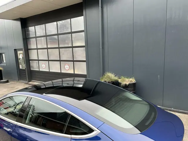 Tesla Model 3 Long Range 75 kWh 2019 Elektrisch 13