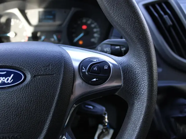 Ford Transit 350 2.2 TDCI L4H1 Ambiente 2016 Diesel 19