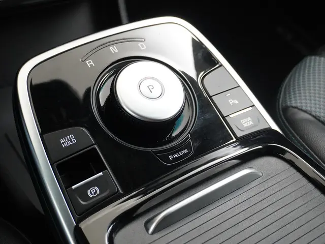 Kia e-Niro Edition 64 kWh 2021 Elektrisch 40