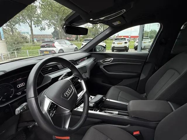 Audi e-tron 50 Aut. Quattro Edition 2020 Elektrisch 11
