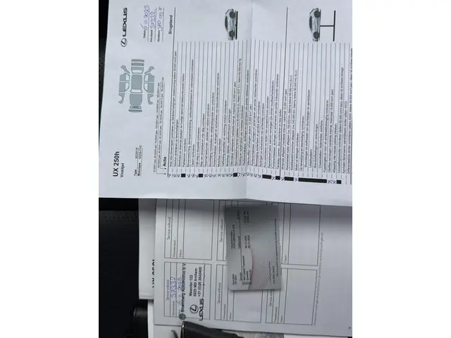 Lexus UX 250h 2022 Hybride Benzine 30