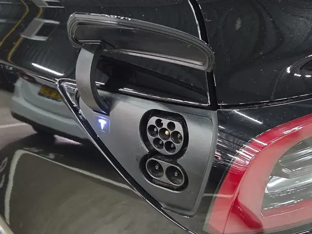 Tesla Model 3 Long Range AWD 75 kWh 2019 Elektrisch 10