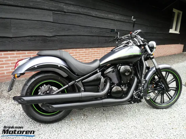 Kawasaki VN 900 Custom 2013 Benzine 4