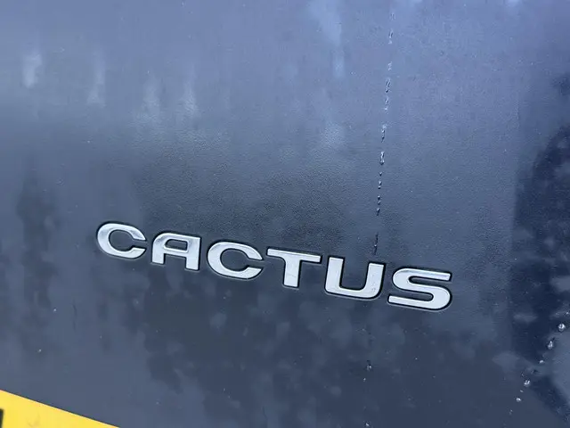 Citroën C4 Cactus 1.2 PureTech 2015 Benzine 26