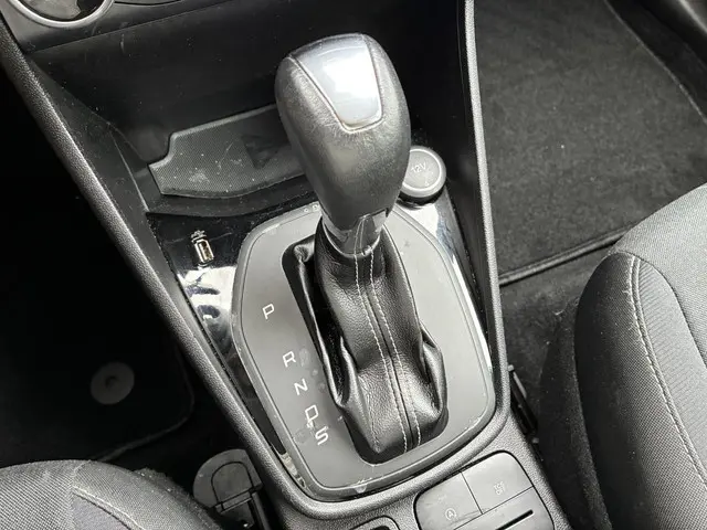 Ford Fiesta HELAAS VERKOCHT!!! 2017 Benzine 17