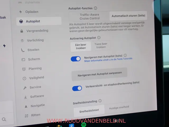 Tesla Model Y Long Range AWD 75kWh 2021 Elektrisch 13
