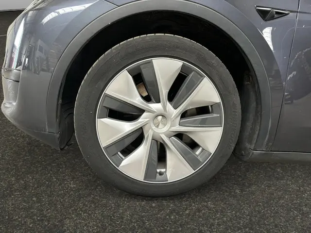 Tesla Model Y RWD 58 kWh 2023 Elektrisch 17