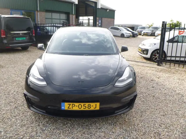 Tesla Model 3 Standard RWD Plus 60 kWh 2019 Elektrisch 4
