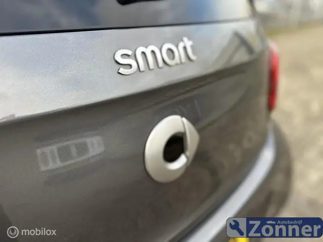 Smart Forfour 1.0 Perfect 2018 Benzine 14
