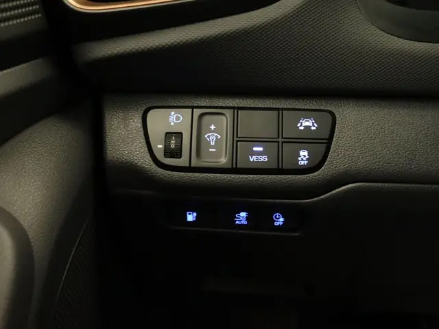 Hyundai IONIQ Comfort EV 2019 Elektrisch 20