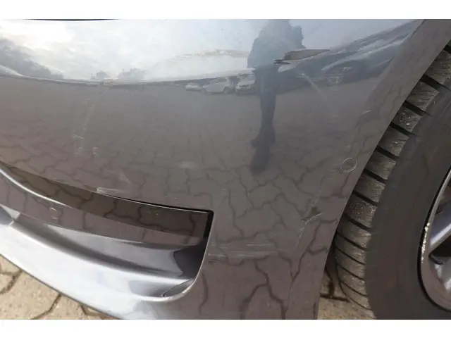 Tesla Model 3 Standard RWD Plus 60 kWh 2020 Elektrisch 19