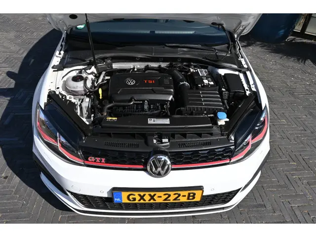 Volkswagen Golf 2.0 TSI GTI Perf. 2018 Benzine 13