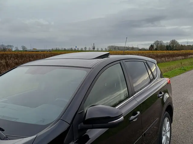 Toyota RAV4 2.0 Executive Business 4WD 2013 Benzine 12