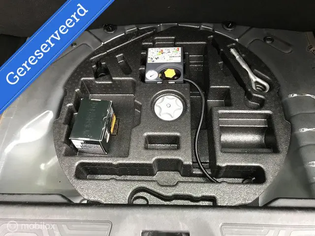 Renault Kadjar 1.3 TCe Limited 2020 Benzine 8