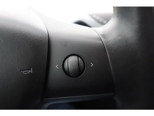 Tesla Model 3 Performance AWD 75 kWh 2019 Elektrisch 25