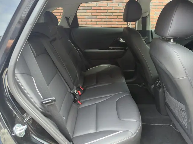 Kia e-Niro ExecutiveLine 64 kWh 2020 Elektrisch 5